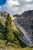 Trekking nel Parco Naturale Puez-Odle. La lunga discesa dal Rifugio Puez a Selva in Valgardena lungo la Vallelunga.